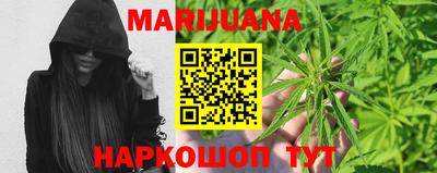 шишки Гусиноозёрск