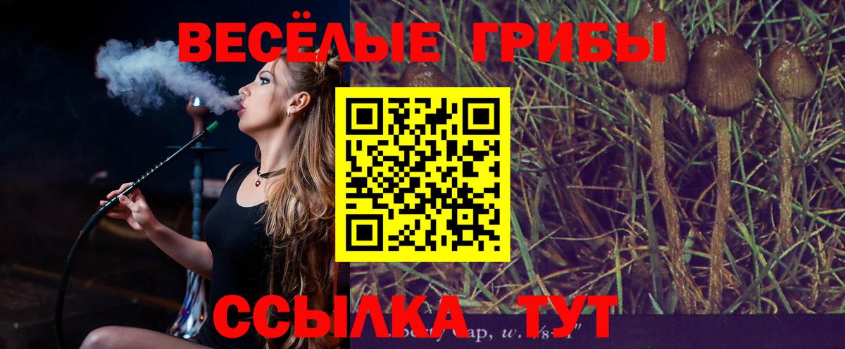 Псилоцибиновые грибы ЛСД Лысьва